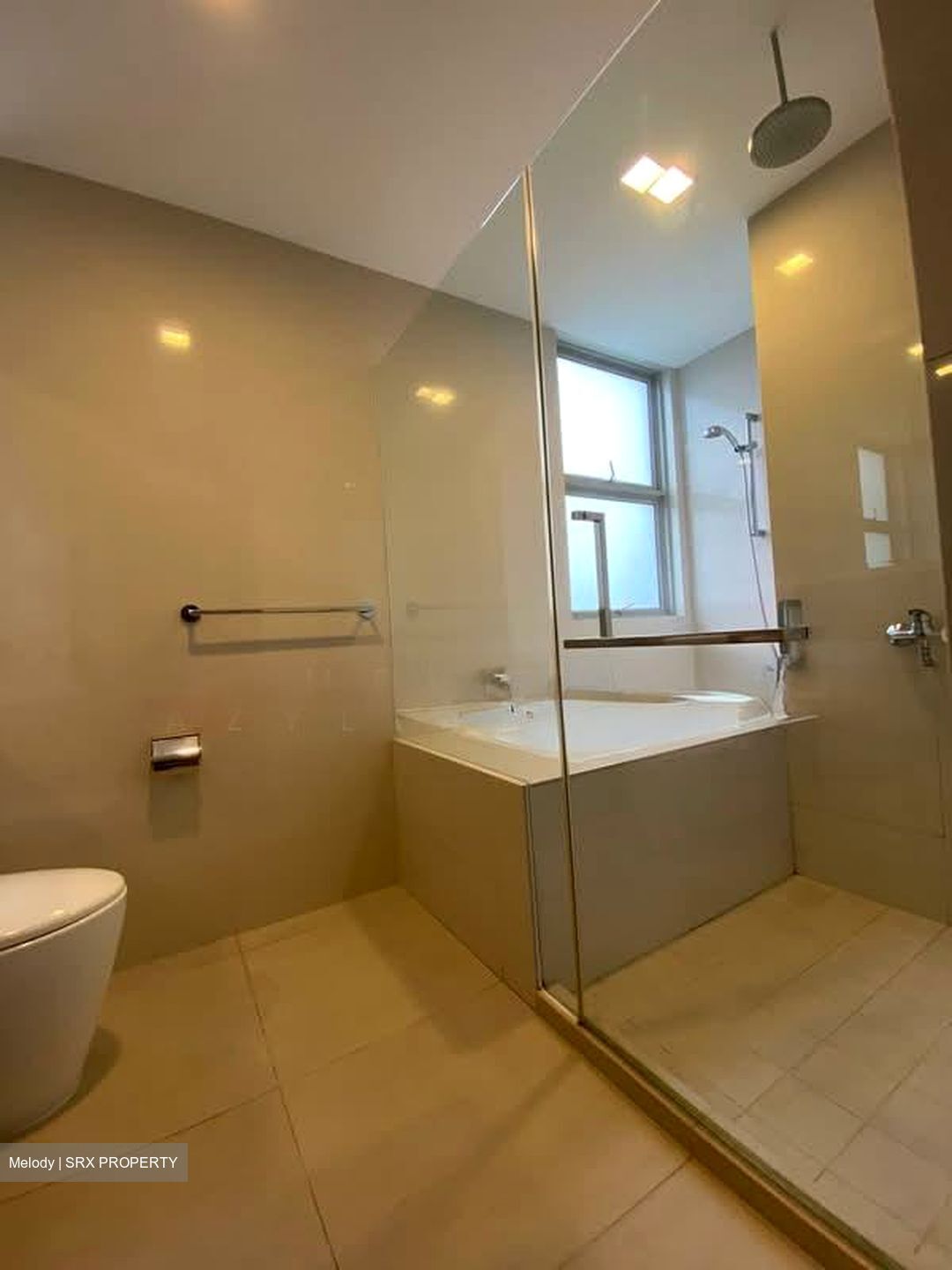 Nassim Regency (D10), Condominium #571613861